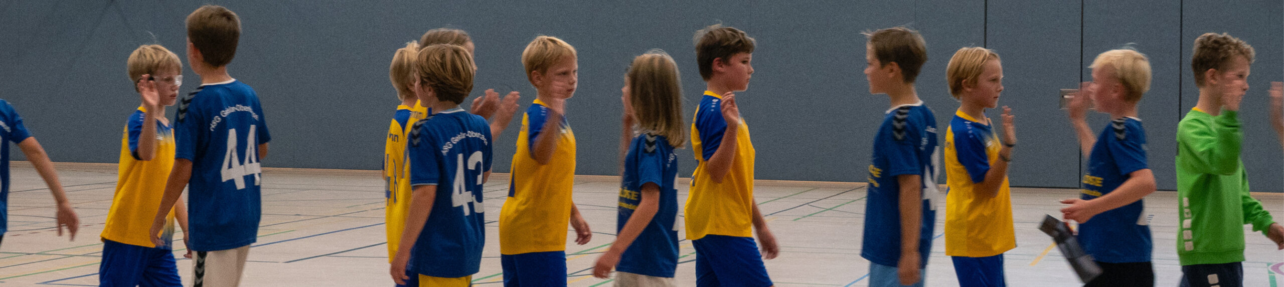 Poppelsdorfer Handball-Verein Bonn 1985 e.V.