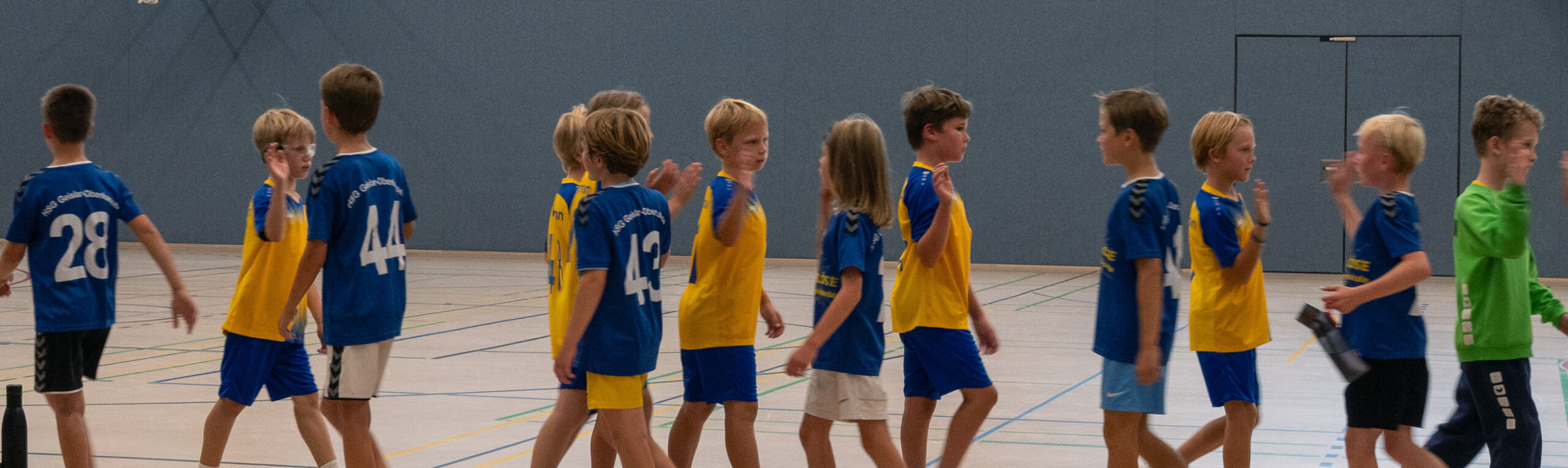 Poppelsdorfer Handball-Verein Bonn 1985 e.V.